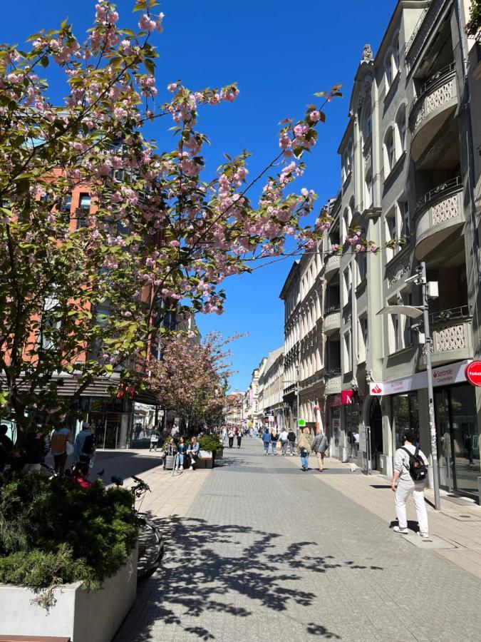 Sloneczny Apartament Centrum Poznania Klimatyzacja Wi-Fi Tv Zmywarka Pralka Piekarnik Eksteriør bilde